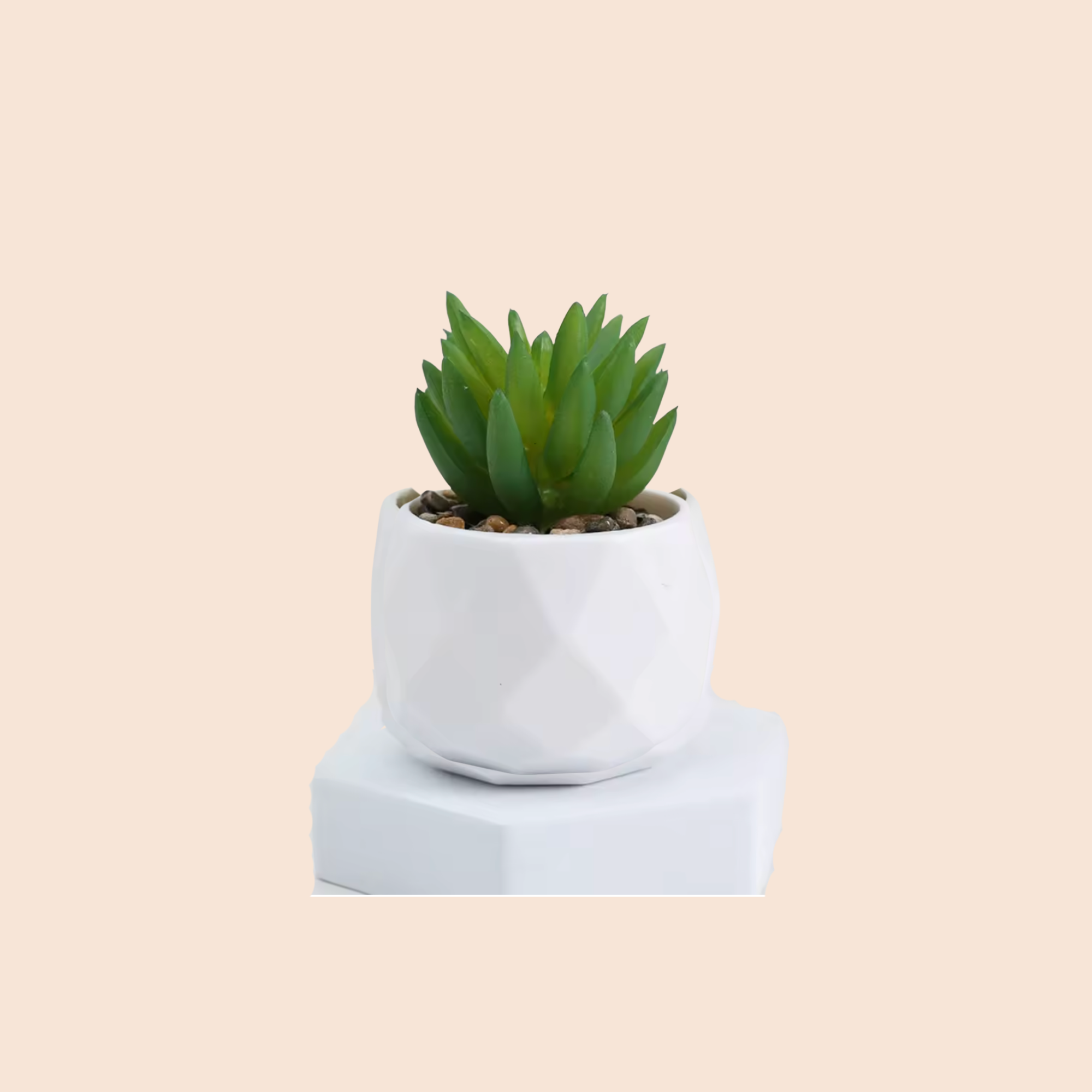 Oden Mini Plant