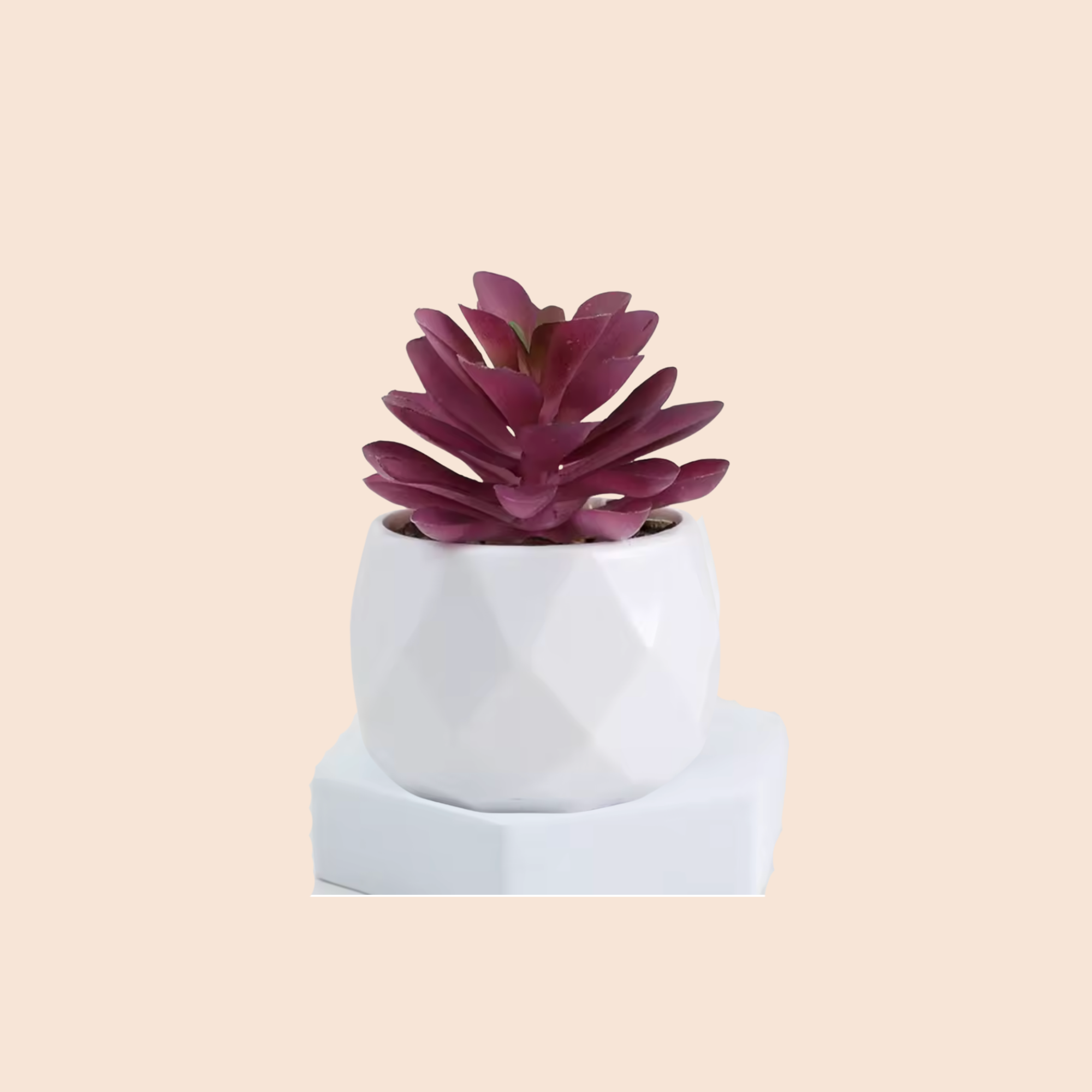 Oden Mini Plant